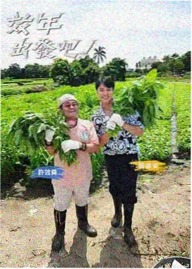 书房夜谈封面图